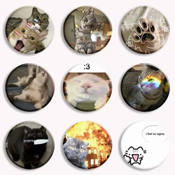Funny Cute Cat Meme Animal Soft Button Pin I Feel So Sigma Cat Memes Brooch Badge Bag Accessories Funny Friends Gifts