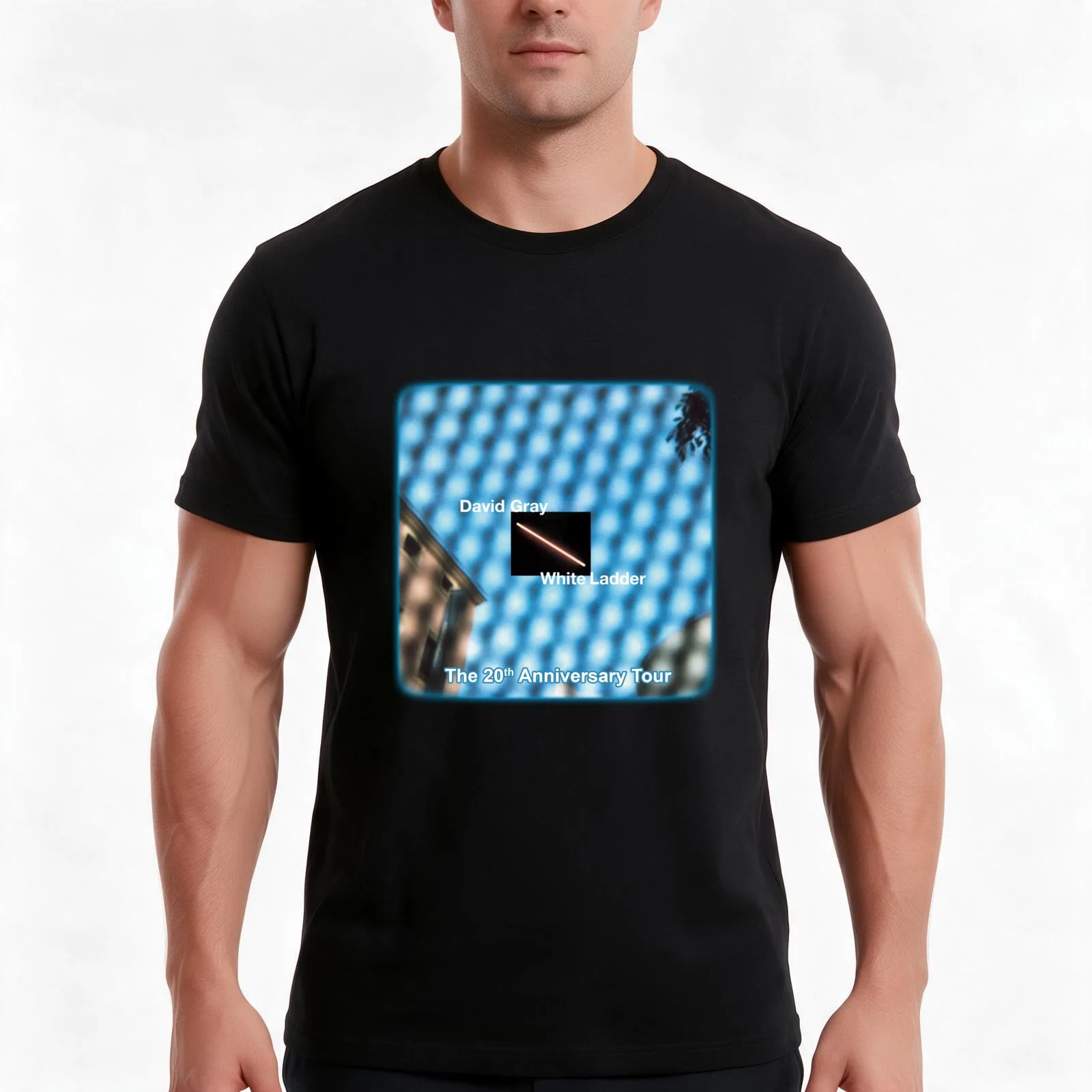 DAVID GRAY WHITE LADDER THE 20TH ANNIVERSARY TOUR T-Shirt Summer Casual Cotton Tee Oversized Streetwear Tops Unisex Men Women