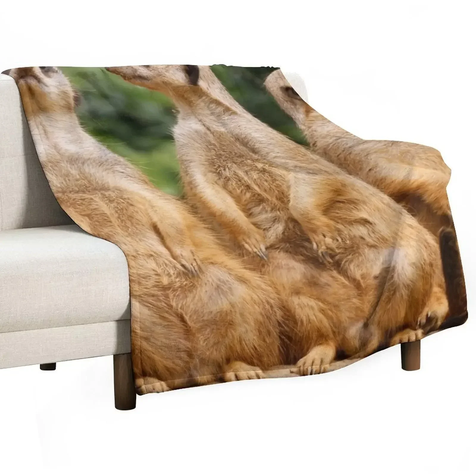 Meerkat 074 Throw Blanket for sofa Luxury St Softest Blankets