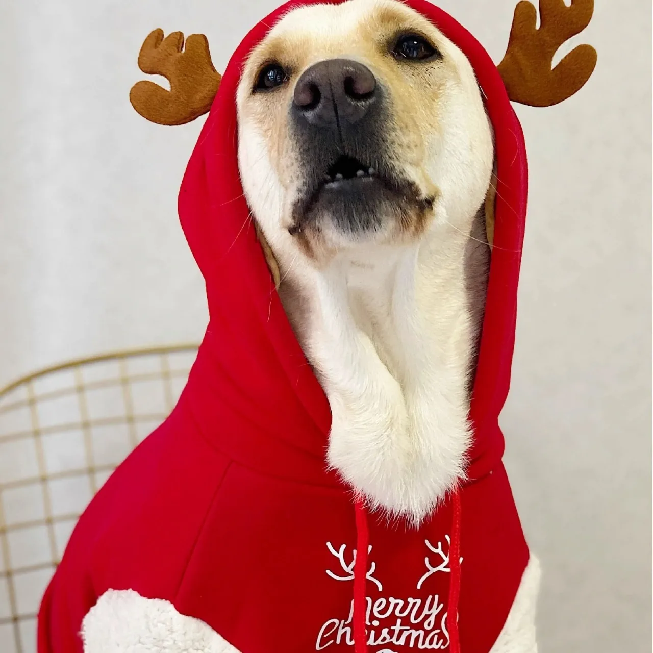 2025 Christmas Dog Clothes Hoodies Fleece Warm Sweatshirt Small Medium Large Dogs Jacket Clothing Pet Costume Dogs Clothes