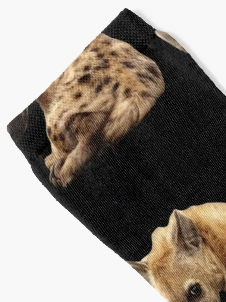 Baby Hyena Socks FASHION Rugby crazy Socks Woman Men's