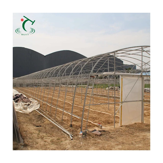 تخصيص الدفيئة الاقتصادية واحدة تمتد فيلم عالية بولي نفق الدفيئة للخضراوات إطار معدني غطاء بلاستيكي الجاهزة Agricu #2