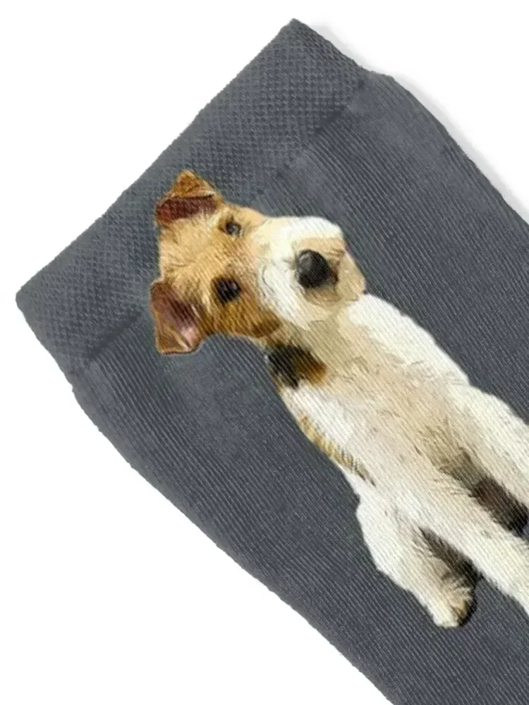 جوارب Wire Fox Terrier Head Tilt هدية عيد الميلاد للرجال جوارب أساسية للرجال والنساء