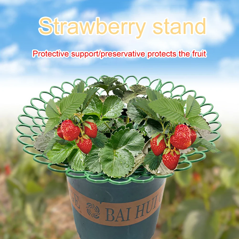 5/10PCS Strawberry Supports Keeping Plant Fruit Vegetable Growing RackWith 3 Sturdy Support Feet Garden Tools