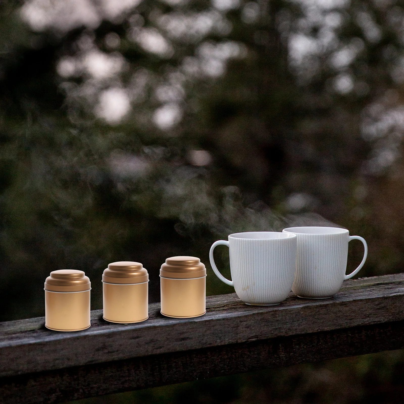 

3Pcs Tea Storage Tin Canisters Airtight Portable Containers for Loose Leaf Tea Sugar Spice Coffee Powder Household Kitchen Use