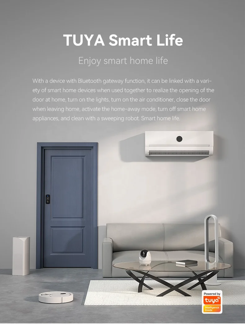 004 Automatic Smart Cylinder Lock Camera Tuya App Wifi Smart Fingerprint Password Door Lock Smart Door Lock