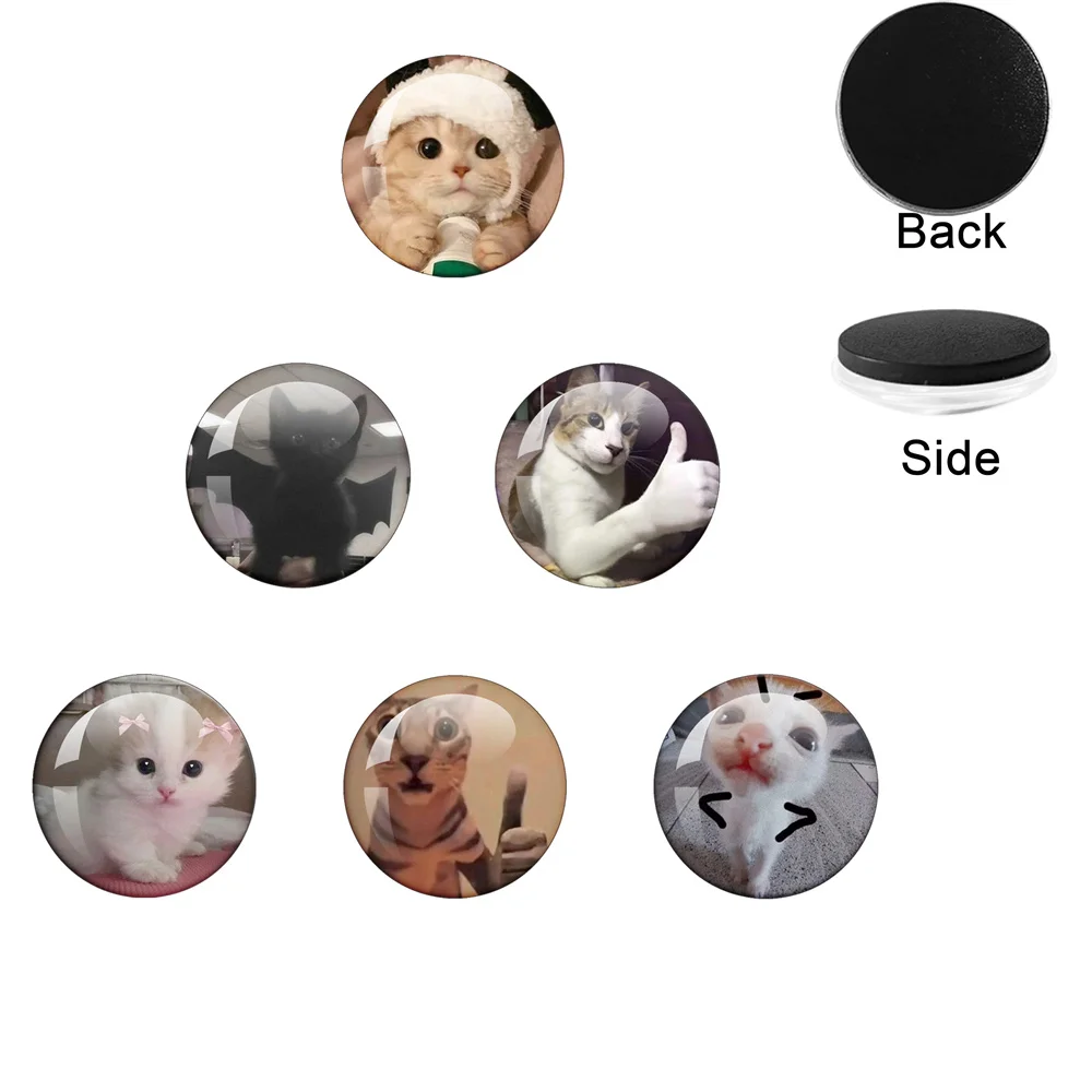 6 Pcs/Set Funny Cat Meme Part3 Round Glass 25MM-50MM Refrigerator Magnet For Decorating Kitchen And Office Whiteboard Magnets