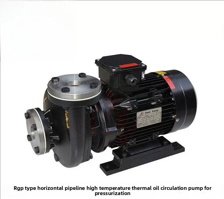 Mold Temperature Machine High Temperature Centrifugal Pump Heat Transfer Oil Circulating Water Pump RGP - 10-20-30 - 40 - 50