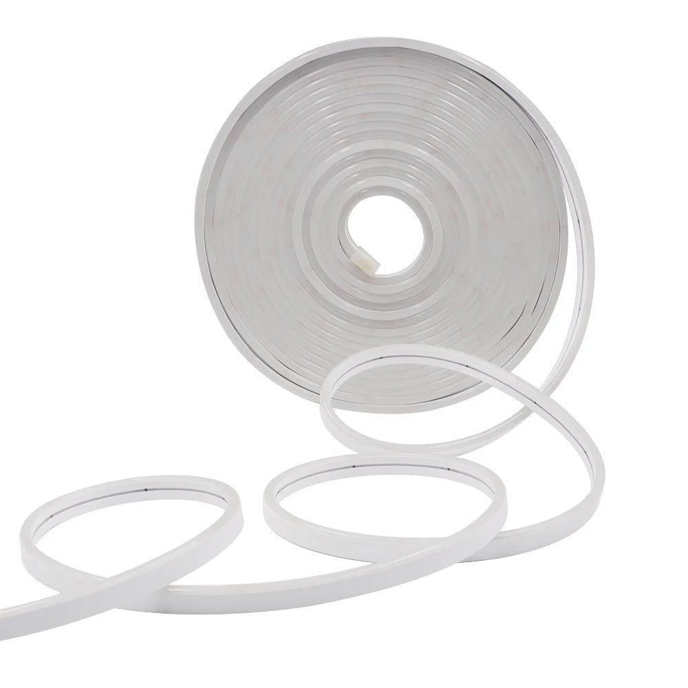DC 12 V 24 V LED-Neonstreifen-Licht, Neonschild, wasserdichte Silikon-Lichterkette, flexible Lampe, Heimdekoration mit 2-poligem Draht, 9 Farben – Detail 3