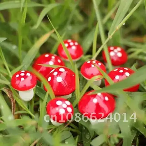 

Hot Sale NEW 10Pcs 2cm Artificial Mini Mushroom Miniatures Fairy Garden Moss Terrarium Cartoon Crafts Decorations Stakes Craft