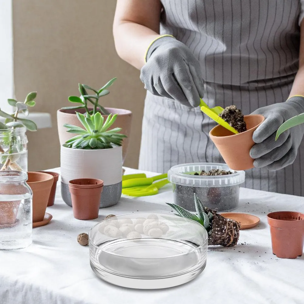 

Круглая стеклянная ваза-террариум для гидропоники, большая емкость, для цветочных композиций, прозрачная декоративная ваза для дома, магазина, вечеринки