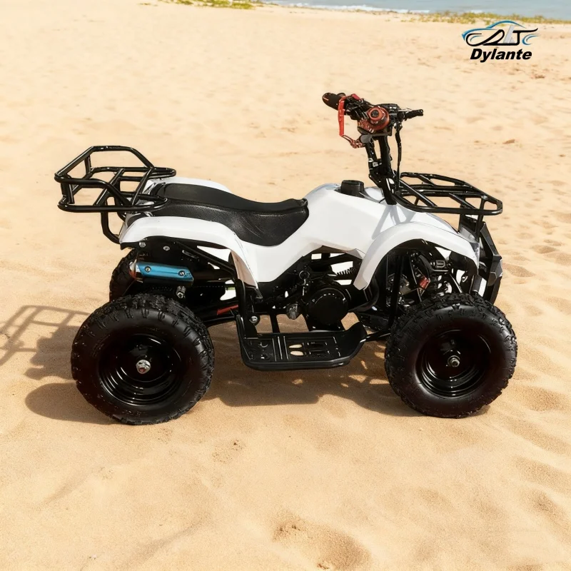 

Throttle Body Spacer Power Boost ATV Aluminum Design Torque Fuel Efficiency Improvement High-Altitude/Hot Environment Adaptation