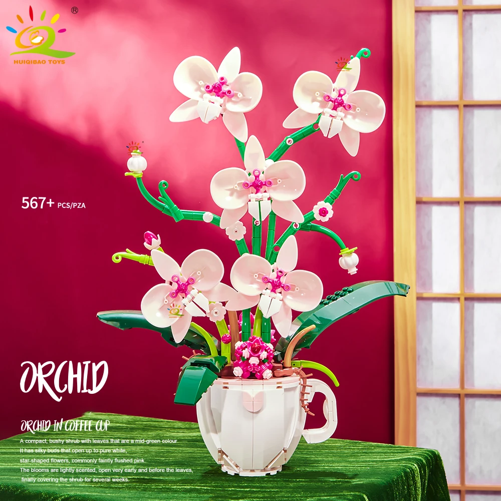 Orchidée Rose Pâle en Tasse