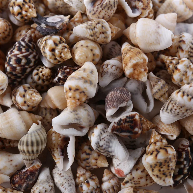 

AX83-About 6500-7500 Крошечные морские ракушки Ocean Beach Спиральные ракушки Ремесленные подвески 7-12 мм для изготовления свечей, украшения дома