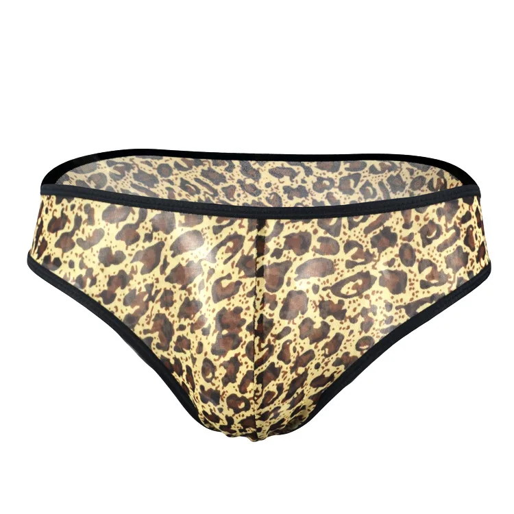Men's Leopard Print Sheer Mesh Briefs, Low Rise Transparent Bikini Underwear, Erotic Lingerie