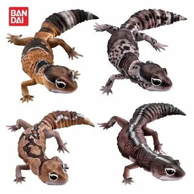 Japanese Genuine Gacha Scale Model Biological Cognitive Model Joint Mobility African Fat Tailed Gecko Action Figure Toys