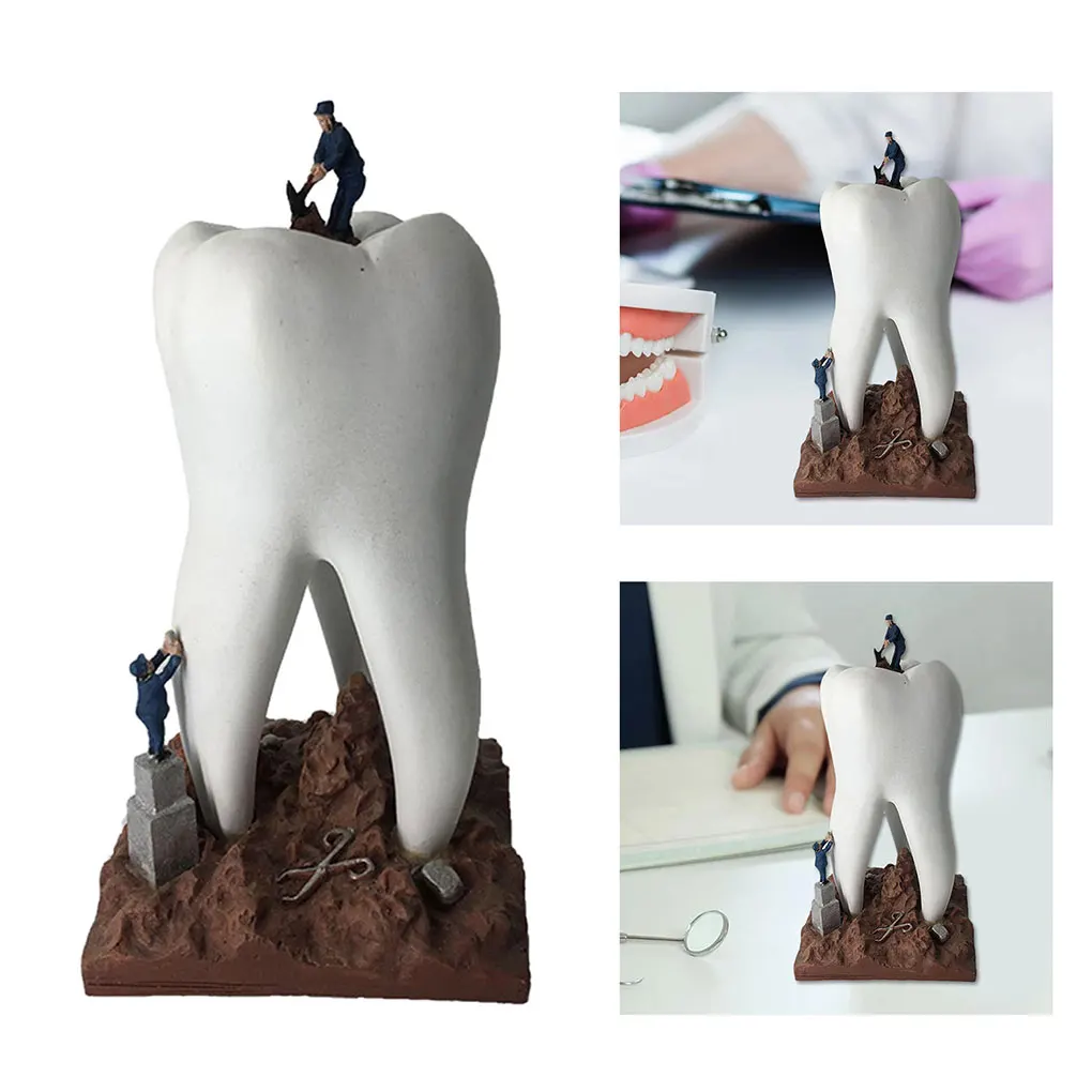 Tooth Shape Sculpture Simple Tooth Model Figurine Dental Clinic Desktop Decoration Artwork Ornaments Dentist Gift Souvenir