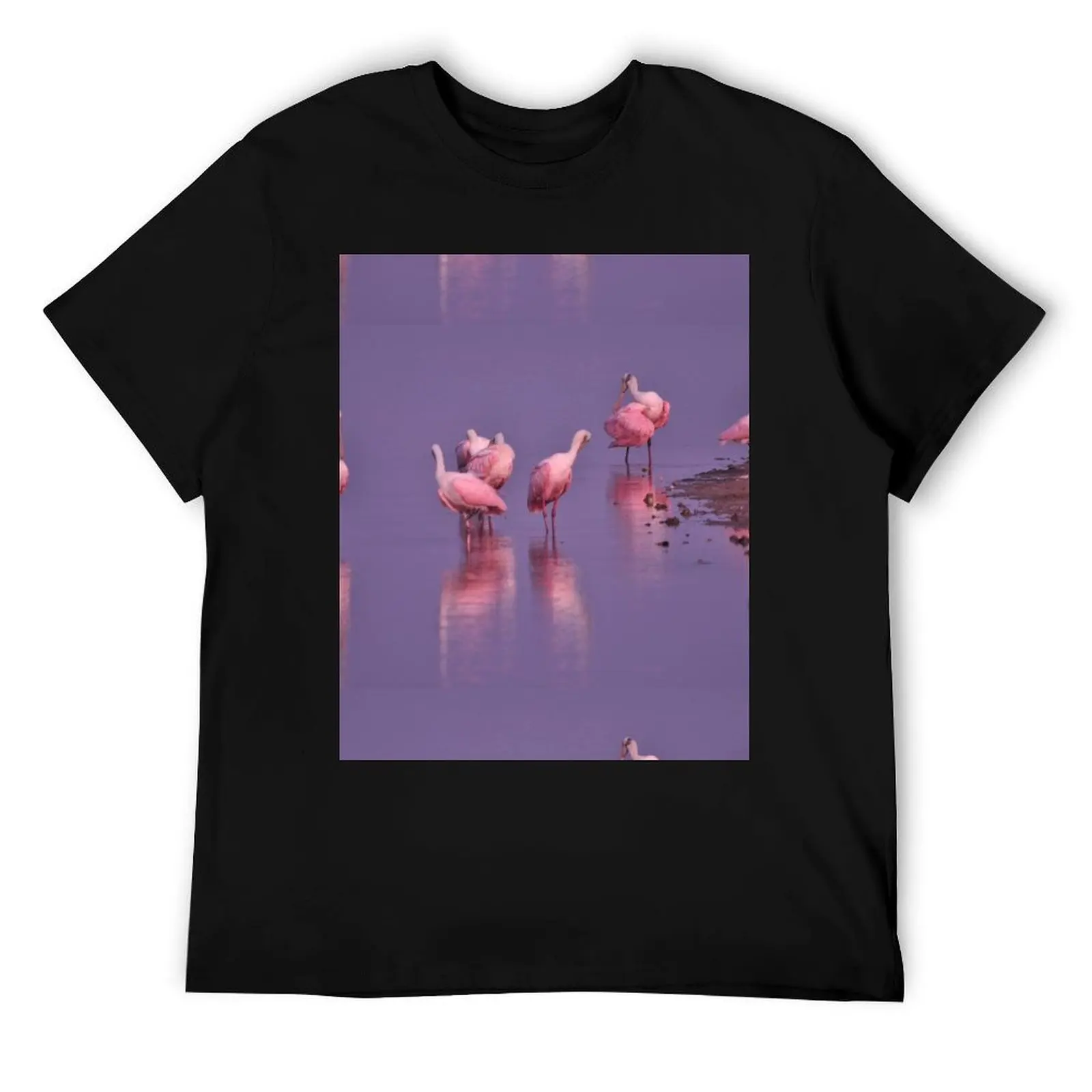 

Roseate Spoonbills, As Is T-Shirt man t shirt heavy cotton man t shirts graphic man t shirt designer T-Shirt