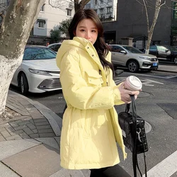 2023 New Parkas Women Winter Jacket Hooded Thick Warm Cotton Padded Parka Casual Basic Coat Female Snow Coat Outerwear