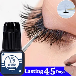 Non-irritating False Eyelash Glue Fast Drying Eyelashes Extension Glue Black Adhesive Lasting 45 Days Eye Glues Makeup Wholesale