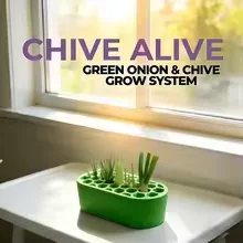 1 Green Onion Regrow Kit Easy Home Gardening Balcony Windowsill Quick Regrowth Continuous Harvest