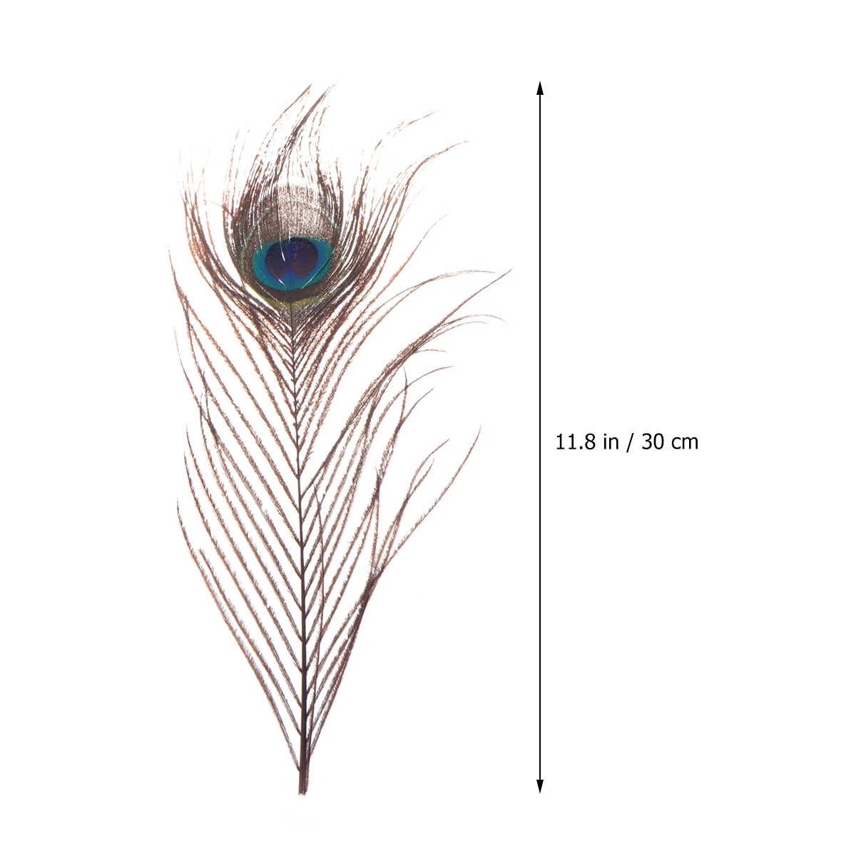 

tail for hat natural decorative
