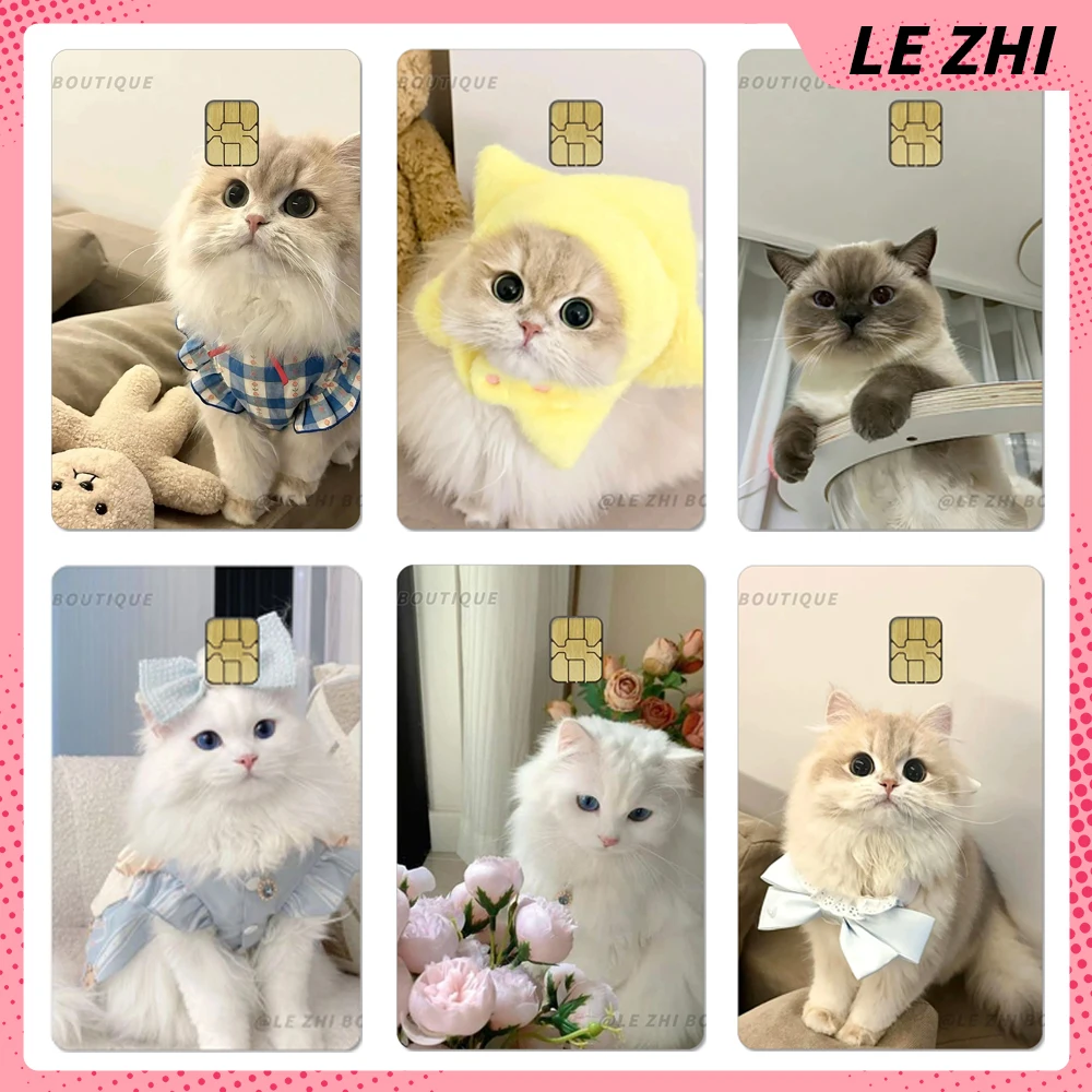 Kawaii الحيوان الساطع مقاوم للماء طبقة رقيقة واقية الجلد ملصق لطيف القط الكلب بولي كلوريد الفينيل الخصم بطاقة الائتمان بطاقة البنك الديكور فتاة الهدايا