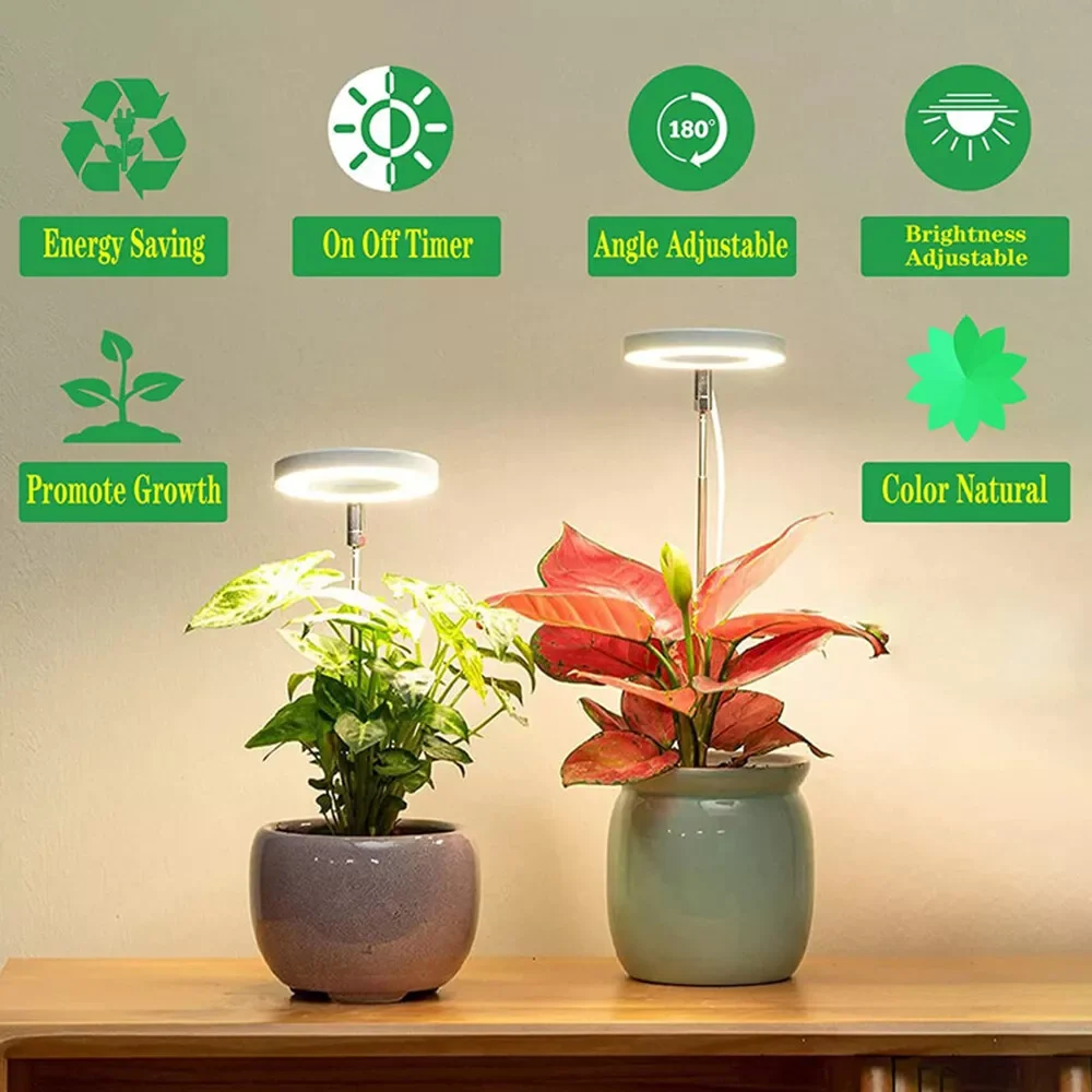 Full Spectrum LED Plant Grow Lamp Height Retractable Angelic Ring Indoor Flower Plant Growing Lights Time And Light Adjustable