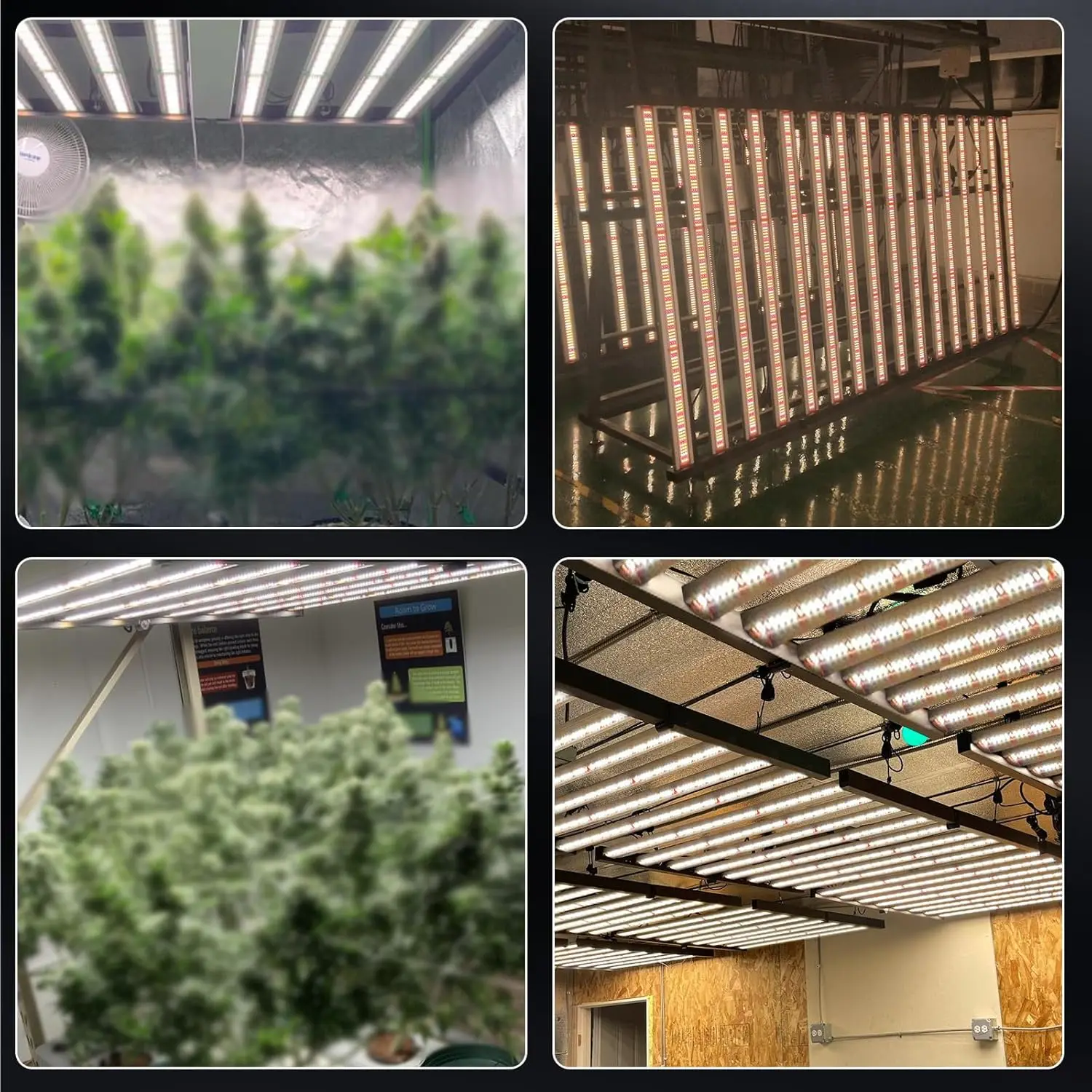 Plant Led Grow Light for 4x4ft 5x5ft Indoor Plants Coverage Daisy Chain Dimmable with UV IR Full Spectrum