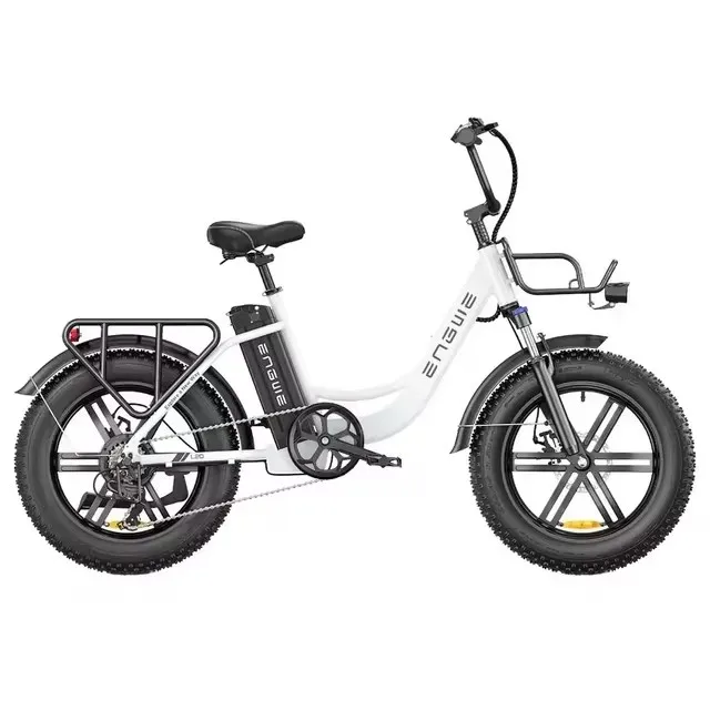 ENGWE L20 20*4.0 Inch Mountain Tire Electric Bike, 250W Motor, 25km/H Max Speed, 48V 13Ah Battery