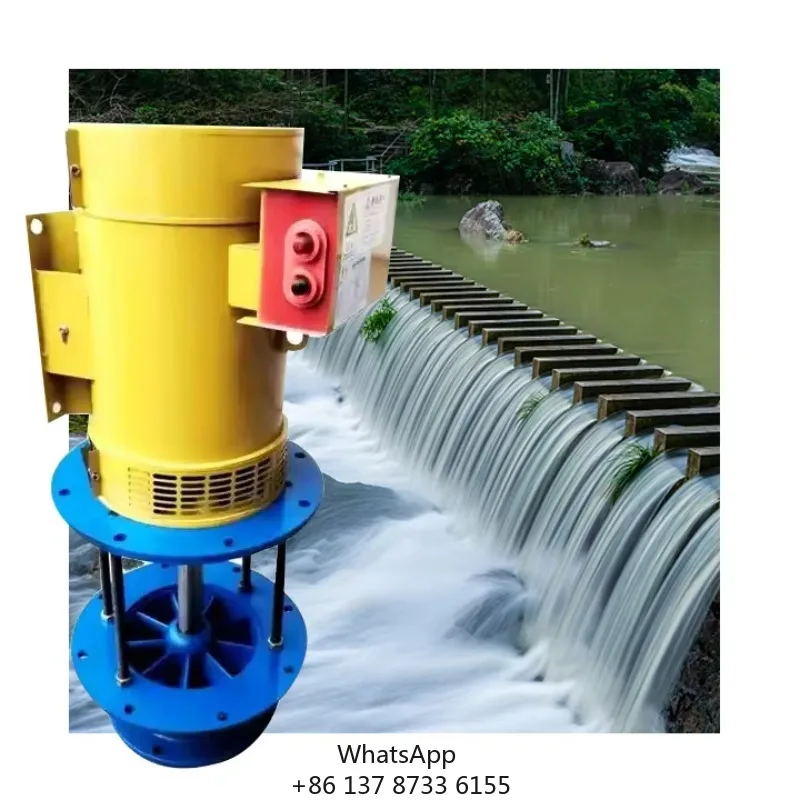 3kw Micro Turgo Turbine Generator Water Turbine Hydro Turbine 300w CE Synchronous Generator Hydropower Hidrogeno Generator 3000