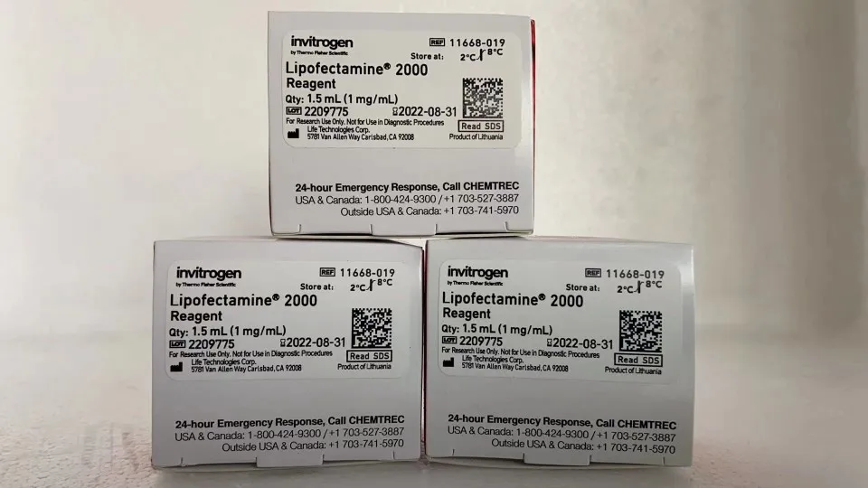 

Lipofectamine 2000 lipo transfection reagent 11668-019 1.5ml