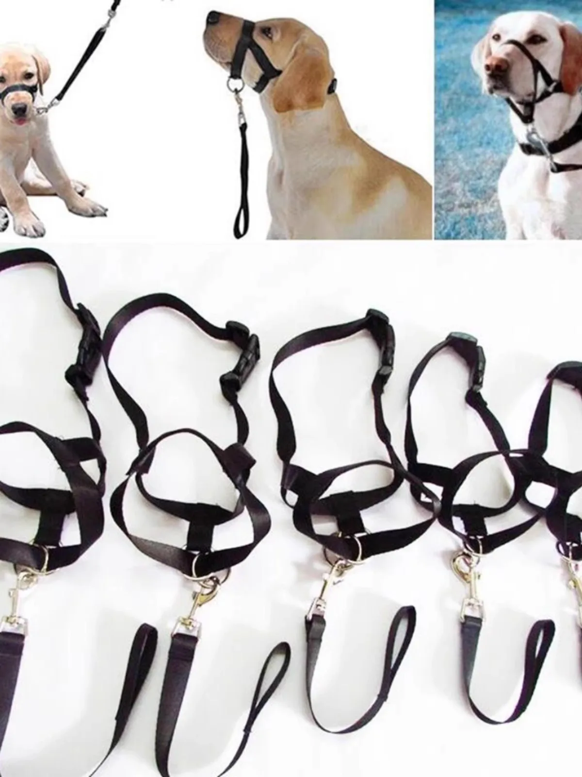 حلقة أنف جديدة حول الفم كمامة الكلب قابلة للتعديل مستلزمات الحيوانات الأليفة تمنع الكلاب من تناول الطعام بشكل عشوائي يمنع العض عشوائيًا #2