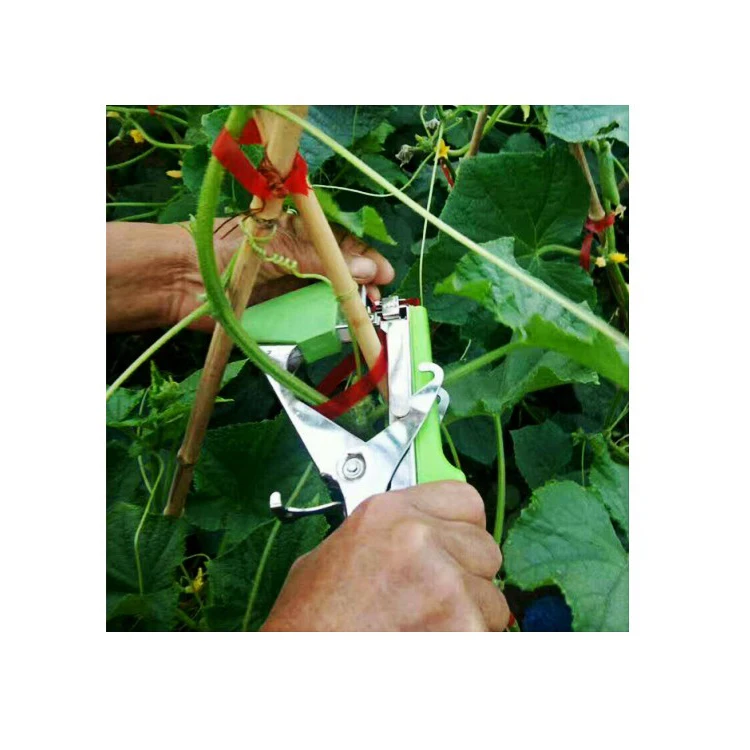 

2025Wholesale Plant Binding Strap Garden Strapping Tools Vine Branch