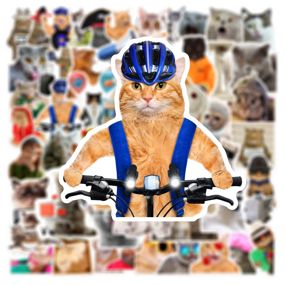 

10/30/66pcs Funny Cat MEME Cartoon Stickers Cute Animal Graffiti Decals Notebook Phone Bike Waterproof Fun for Kids Toys Sticker