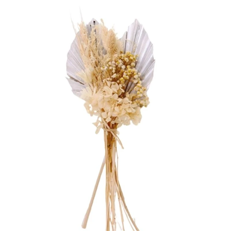 

DIY сушеный цветок веер Цветочная композиция Декоративный орнамент Товары для рукоделия 15UB