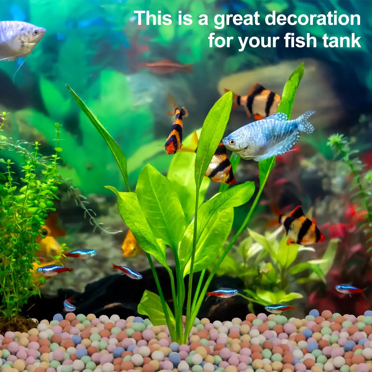 Hydroponic Plant Decorative Colorful Ceramsite Aquarium Tank Mineral Supplement Substrate Mineral Freshwater Biological Ball ﻿