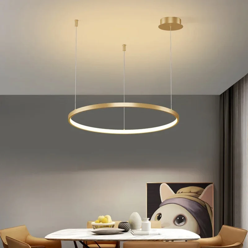 Modern Led Ring Chandelier Home Lighting Living Room Dining Room Bedroom Home Decoration Pendant Lights Indoor Hanging Lamp