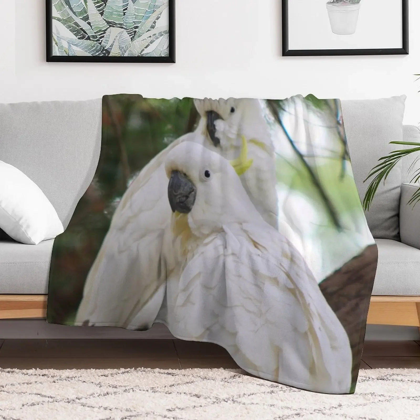 Sulphur Crested Cockatoos in Sydney Throw Blanket Decorative Beds warm for winter Thins Blankets