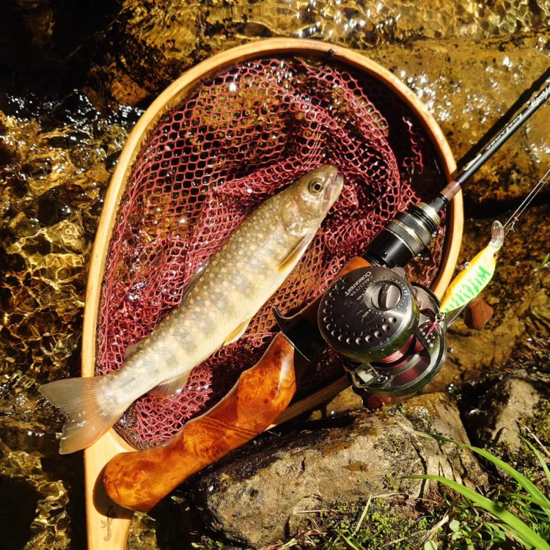 TSUYOKI الحدباء 46 غرق البلمة 46 مللي متر 4 جرام نهر الصيد Ajing لعبة إغراء البلاستيك سمك السلمون المرقط الطعم الثنائي GH46 الحدباء Wobblers