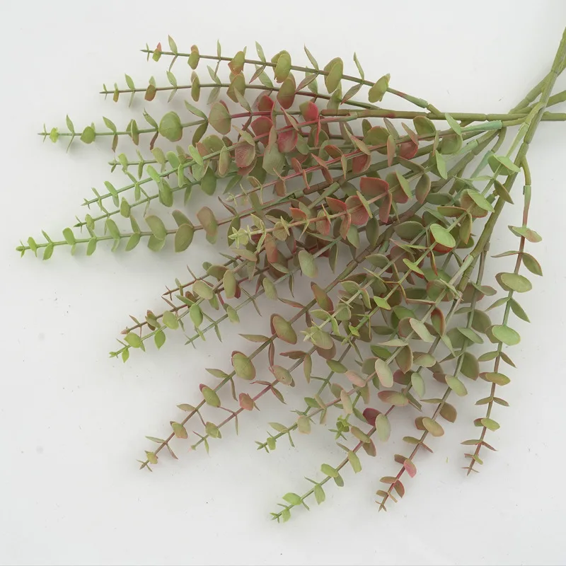 Green Aloes 10Pcs S…