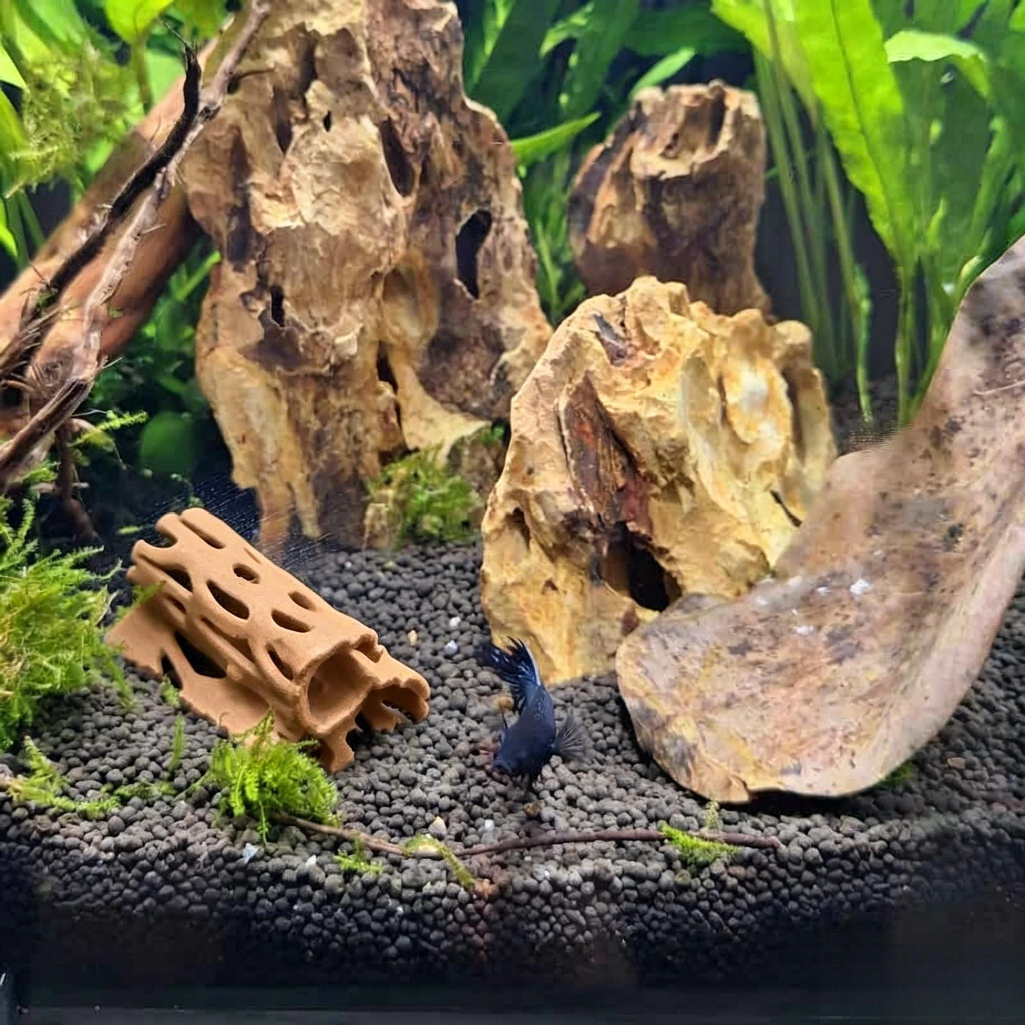 Porous Aquarium Hideout Cave Stackable Fish Shrimp Shelter for Tank Breeding and Resting