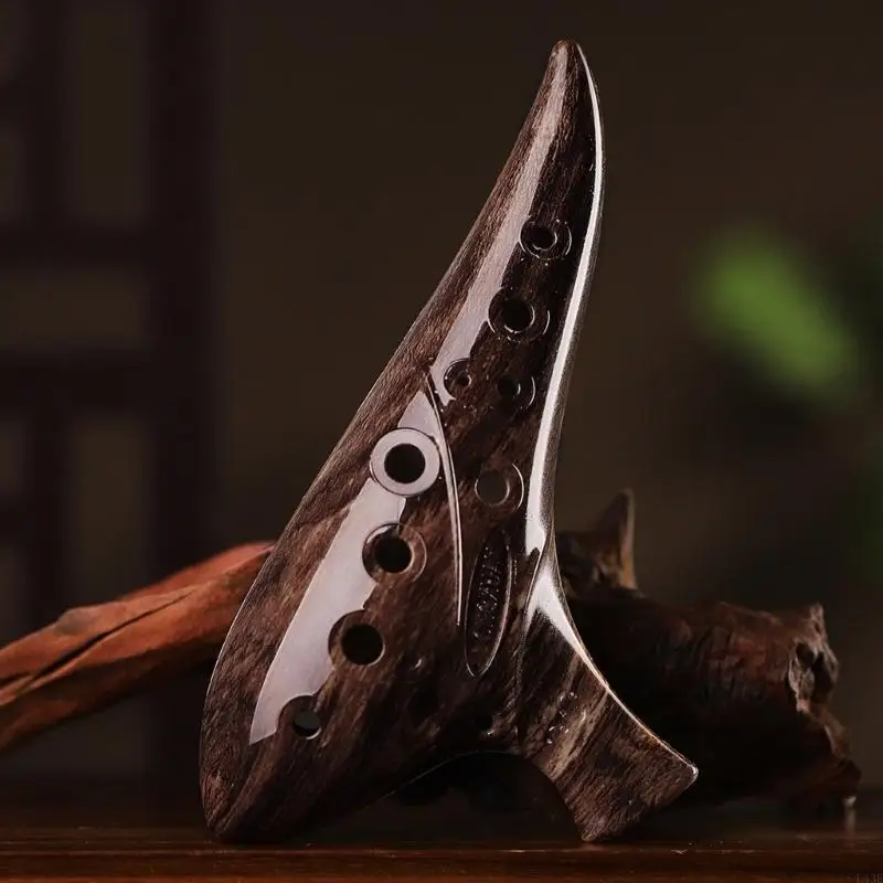 Instrumento viento para principiantes Ocarina 12 orificios cerámica fácil usar, expresión sonido para instrucción