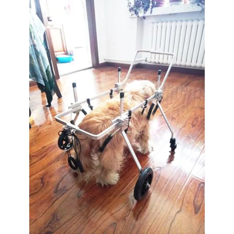 paralysis Large dog quadriplegia Dog wheelchair Large dog disability vehicle Full body four wheel dog wheelchair