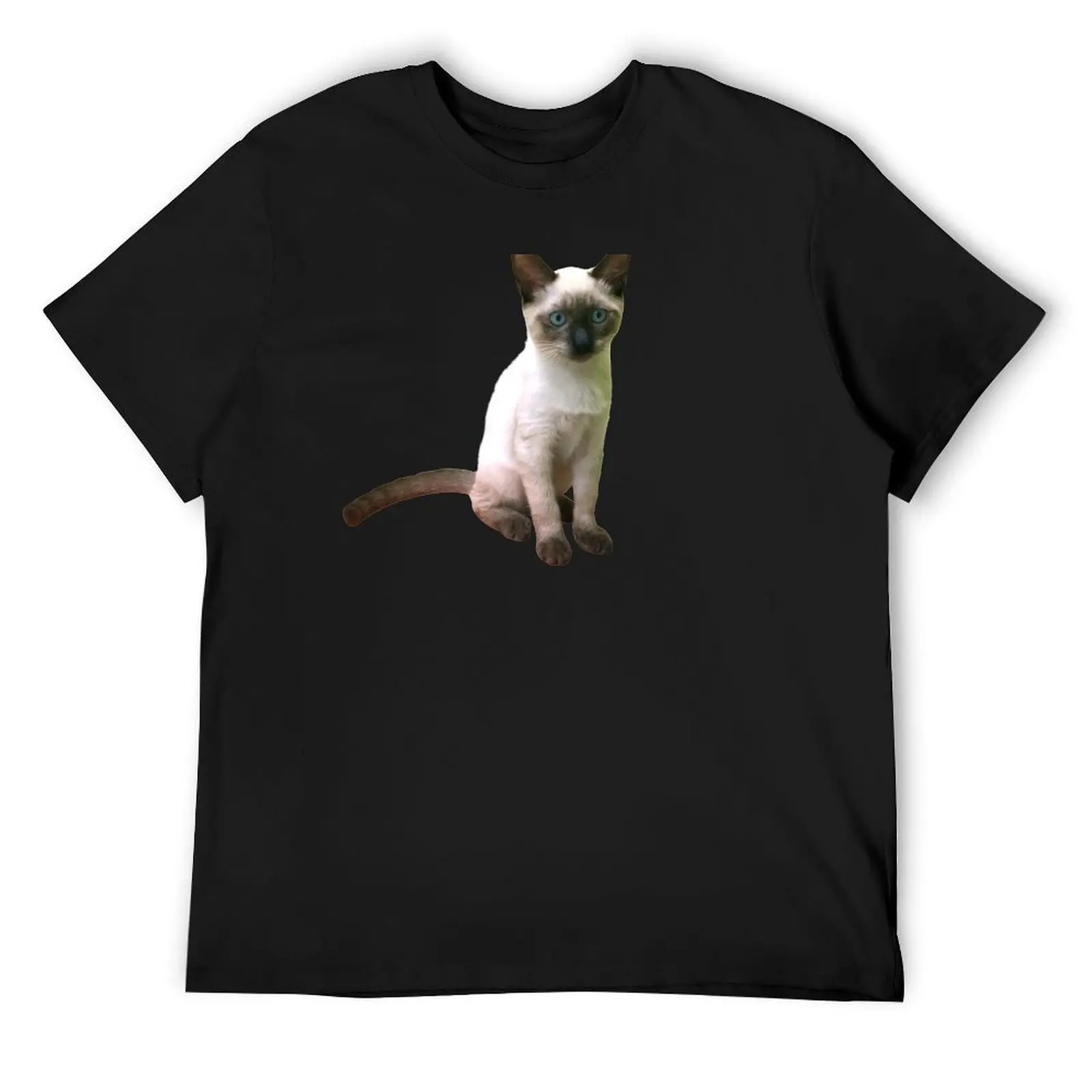 

Siamese Kitten T-Shirt graphics heavyweights sports fans men t shirts