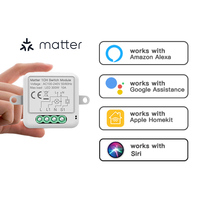 Matter WIFI Smart Switch Module Relay Breaker HomeKit Wireless Control Breaker Works With Siri Alexa Google Home Smart Home Life