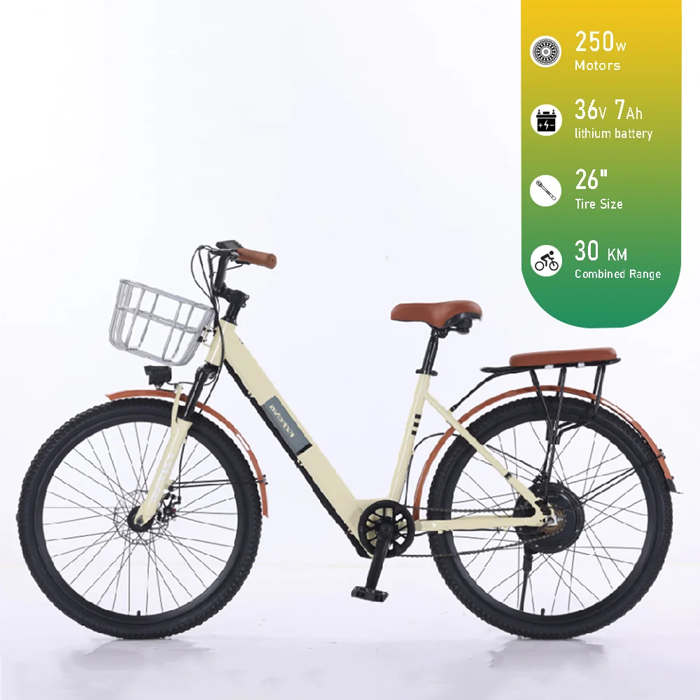 

Adult Electric Bike for Women's Commuting 250W Lightweight Retro Campus City Bike Daily Travel Electric Bike Ebike for Adults