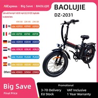 BAOLUJIE DZ-2031 Adult Electric Bicycle 500W  Motor Electric Bike 48V13AH Battery 20 Inch Tire All Terrain E-bike