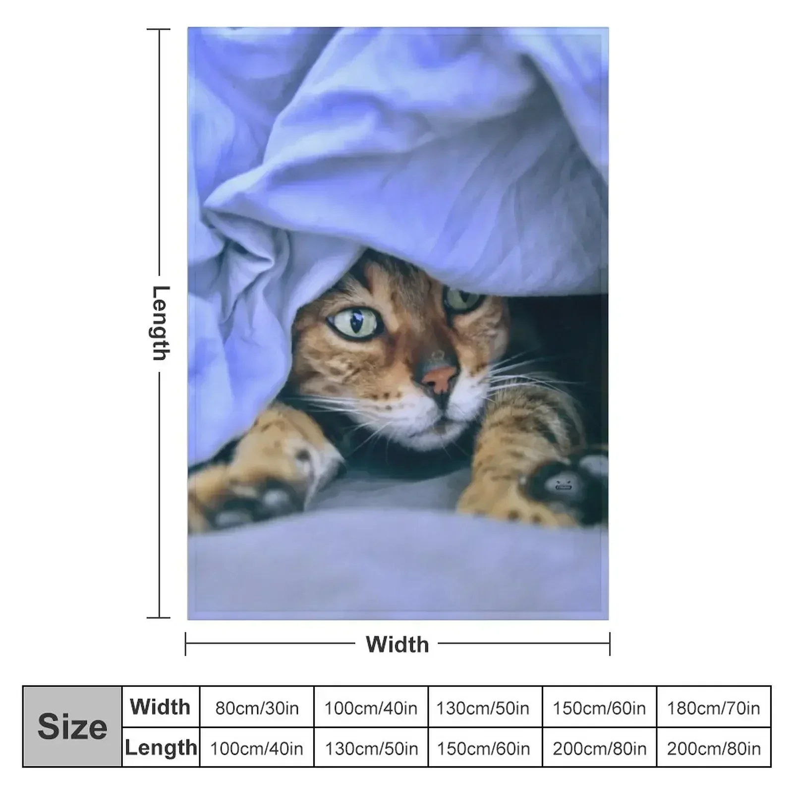 Cat in the nest / Swiss Artwork Photography Throw Blanket Comforter Thin Loose christmas gifts manga Blankets