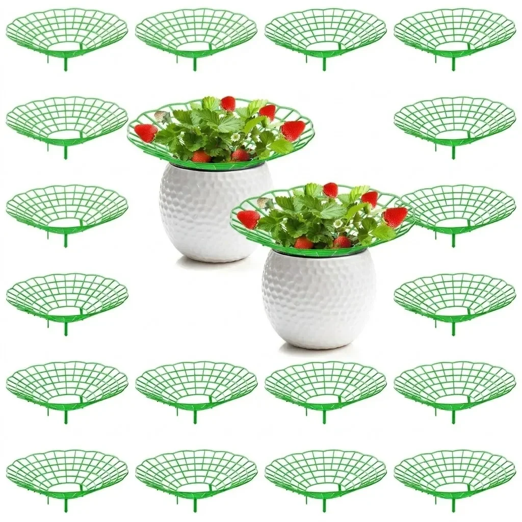 10Pcs  Protector Frame Holder Cage Green Growing Rack Vegetable Garden Tools Strawberry Supports Plant Support Stand Racks